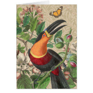 Toucan Jungle Tropical Bird Beautiful Antique