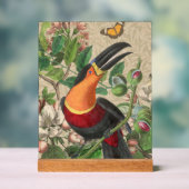 Toucan Jungle Tropical Bird Beautiful Antique Acrylschild (Neutral)