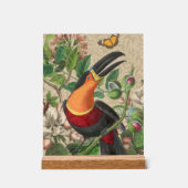 Toucan Jungle Tropical Bird Beautiful Antique Acrylschild (Vorderseite)