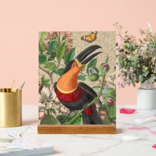 Toucan Jungle Tropical Bird Beautiful Antique Acrylschild (Hochzeit)