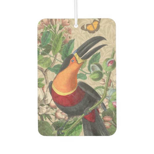 Toucan Jungle Tropical Bird Beautiful Antique Autolufterfrischer (Vorderseite)