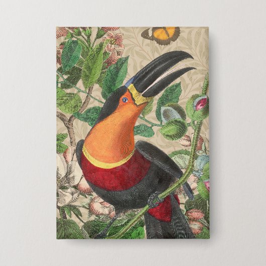 Toucan Jungle Tropical Bird Beautiful Antique Button (Vorderseite)