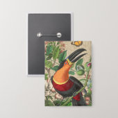 Toucan Jungle Tropical Bird Beautiful Antique Button (Vorderseite/Rückseite)