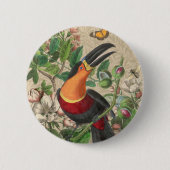 Toucan Jungle Tropical Bird Beautiful Antique Button (Vorderseite)