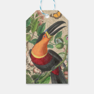 Toucan Jungle Tropical Bird Beautiful Antique Geschenkanhänger