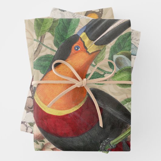 Toucan Jungle Tropical Bird Beautiful Antique Geschenkpapier Set (Beispiel)