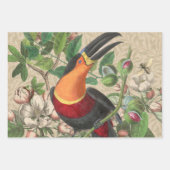 Toucan Jungle Tropical Bird Beautiful Antique Geschenkpapier Set (Vorderseite)