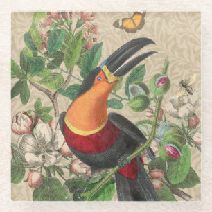 Toucan Jungle Tropical Bird Beautiful Antique Glasuntersetzer