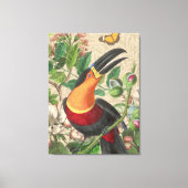 Toucan Jungle Tropical Bird Beautiful Antique Leinwanddruck (Vorderseite)
