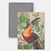 Toucan Jungle Tropical Bird Beautiful Antique Magnet (Vorderseite/Rückseite)