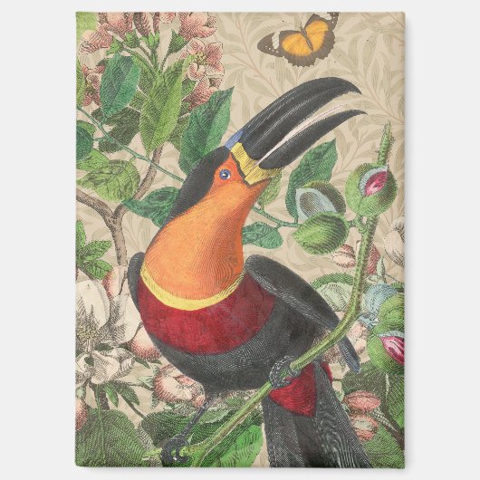 Toucan Jungle Tropical Bird Beautiful Antique Magnet (Vorderseite)