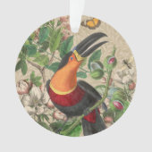 Toucan Jungle Tropical Bird Beautiful Antique Ornament (Vorderseite)