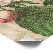 Toucan Jungle Tropical Bird Beautiful Antique Poster (Ecke)