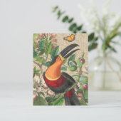 Toucan Jungle Tropical Bird Beautiful Antique Postkarte (Stehend Vorderseite)