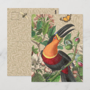 Toucan Jungle Tropical Bird Beautiful Antique Postkarte