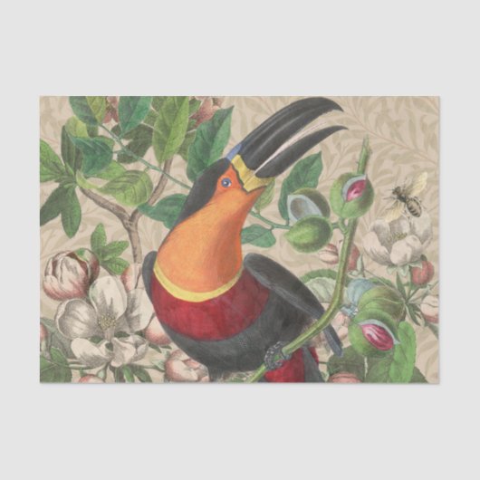 Toucan Jungle Tropical Bird Beautiful Antique Seidenpapier (Vorderseite)