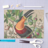 Toucan Jungle Tropical Bird Beautiful Antique Seidenpapier (Handwerk)