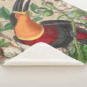 Toucan Jungle Tropical Bird Beautiful Antique Sherpadecke (3/4)