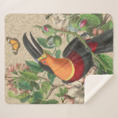 Toucan Jungle Tropical Bird Beautiful Antique Sherpadecke (Vorderseite (Horizontal))