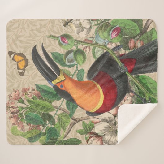 Toucan Jungle Tropical Bird Beautiful Antique Sherpadecke (Vorderseite (Horizontal))
