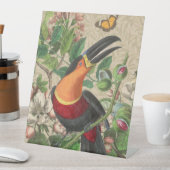 Toucan Jungle Tropical Bird Beautiful Antique Sockelschild (In Situ)