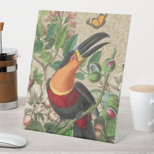 Toucan Jungle Tropical Bird Beautiful Antique Sockelschild (In Situ)