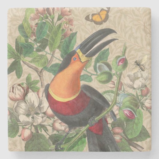 Toucan Jungle Tropical Bird Beautiful Antique Steinuntersetzer (Vorderseite)