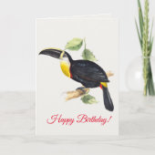 Toucan Karte (Vorderseite)