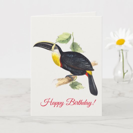 Toucan Karte (Kleine Pflanze)
