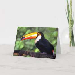 'Toucan' Karte