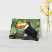'Toucan' Karte (Gelbe Blume)