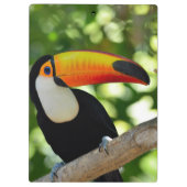 Toucan Klemmbrett (Rückseite)
