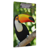 Toucan Klemmbrett (Rechts)