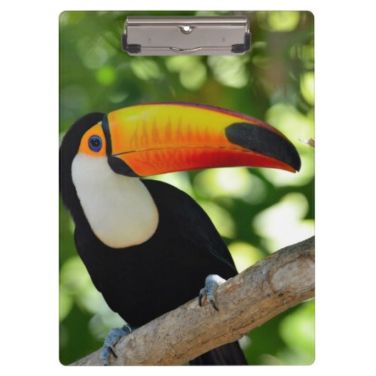 Toucan Klemmbrett (Vorderseite)