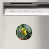 Toucan Magnet (In Situ (Geschirrspüler))