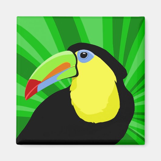 Toucan-Magnete Magnet (Vorne)