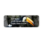 Toucan mit Berry (Vorne)