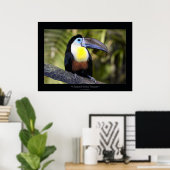 Toucan mit Kanälen Poster (Heimbüro)