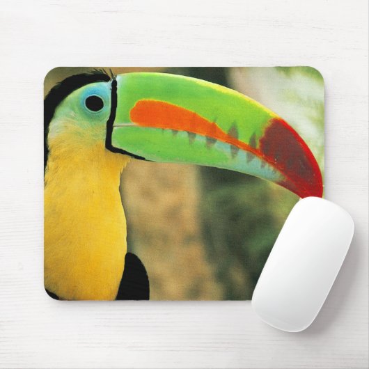 Toucan Mousepad (Mit Mouse)