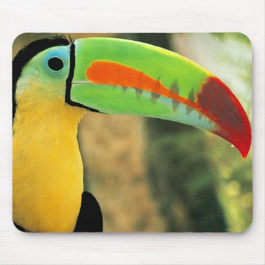 Toucan Mousepad (Vorne)