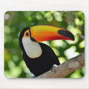 Toucan Mousepad