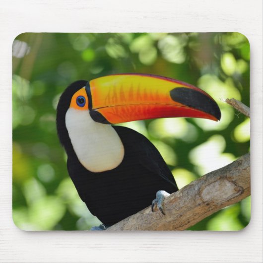 Toucan Mousepad (Vorne)