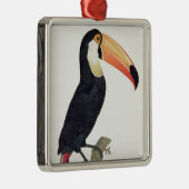 Toucan No.2, 'von der Geschichte der Vögel von Ornament Aus Metall (Rechts)