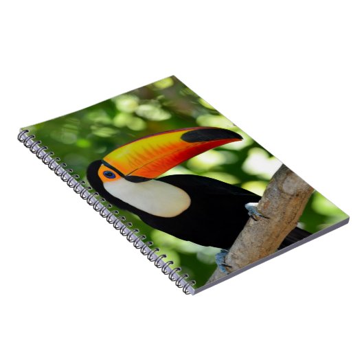 Toucan Notizblock (Rechte Seite)
