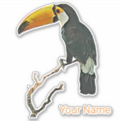 Toucan Portrait Animal Tropical Bird Design Aufkleber (Vorderseite)