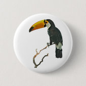 Toucan Portrait Animal Tropical Bird Design Button (Vorderseite)