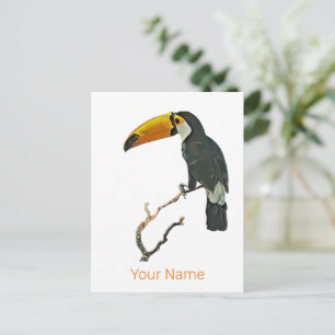 Toucan Portrait Animal Tropical Bird Design Feiertagspostkarte