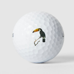 Toucan Portrait Animal Tropical Bird Design Golfball