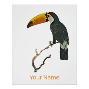 Toucan Portrait Animal Tropical Bird Design Poster