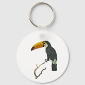 Toucan Portrait Animal Tropical Bird Design Schlüsselanhänger (Vorderseite)